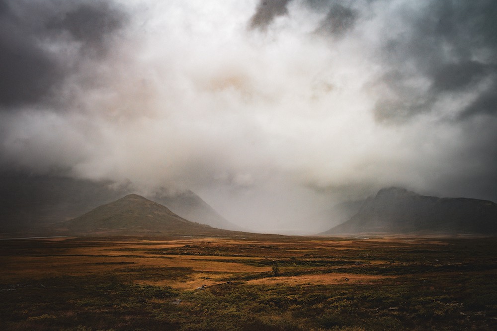 image00005